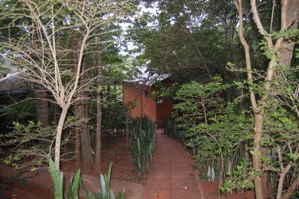Panambi Lodge B&B Πουέρτο Ιγκουασού Εξωτερικό φωτογραφία