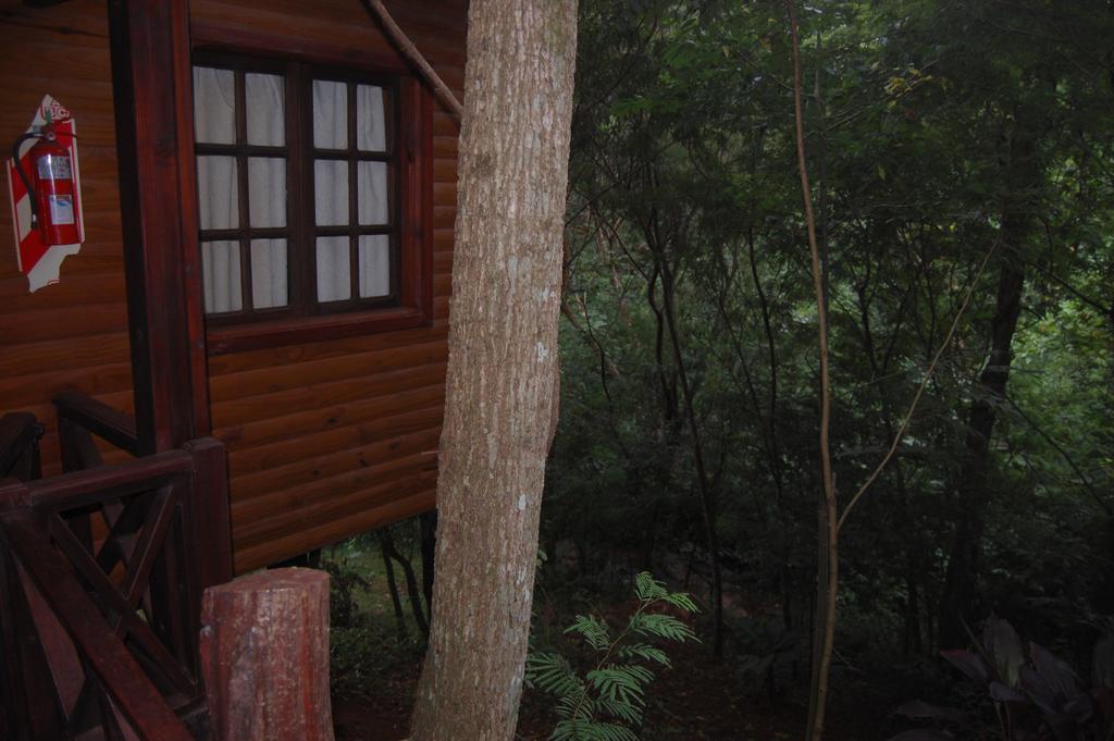 Panambi Lodge B&B Πουέρτο Ιγκουασού Εξωτερικό φωτογραφία
