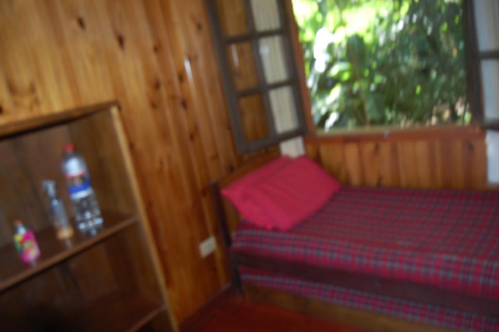 Panambi Lodge B&B Πουέρτο Ιγκουασού Εξωτερικό φωτογραφία