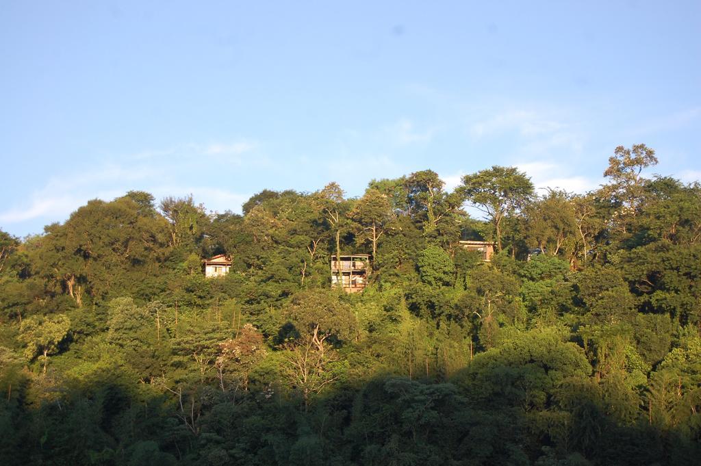 Panambi Lodge B&B Πουέρτο Ιγκουασού Εξωτερικό φωτογραφία