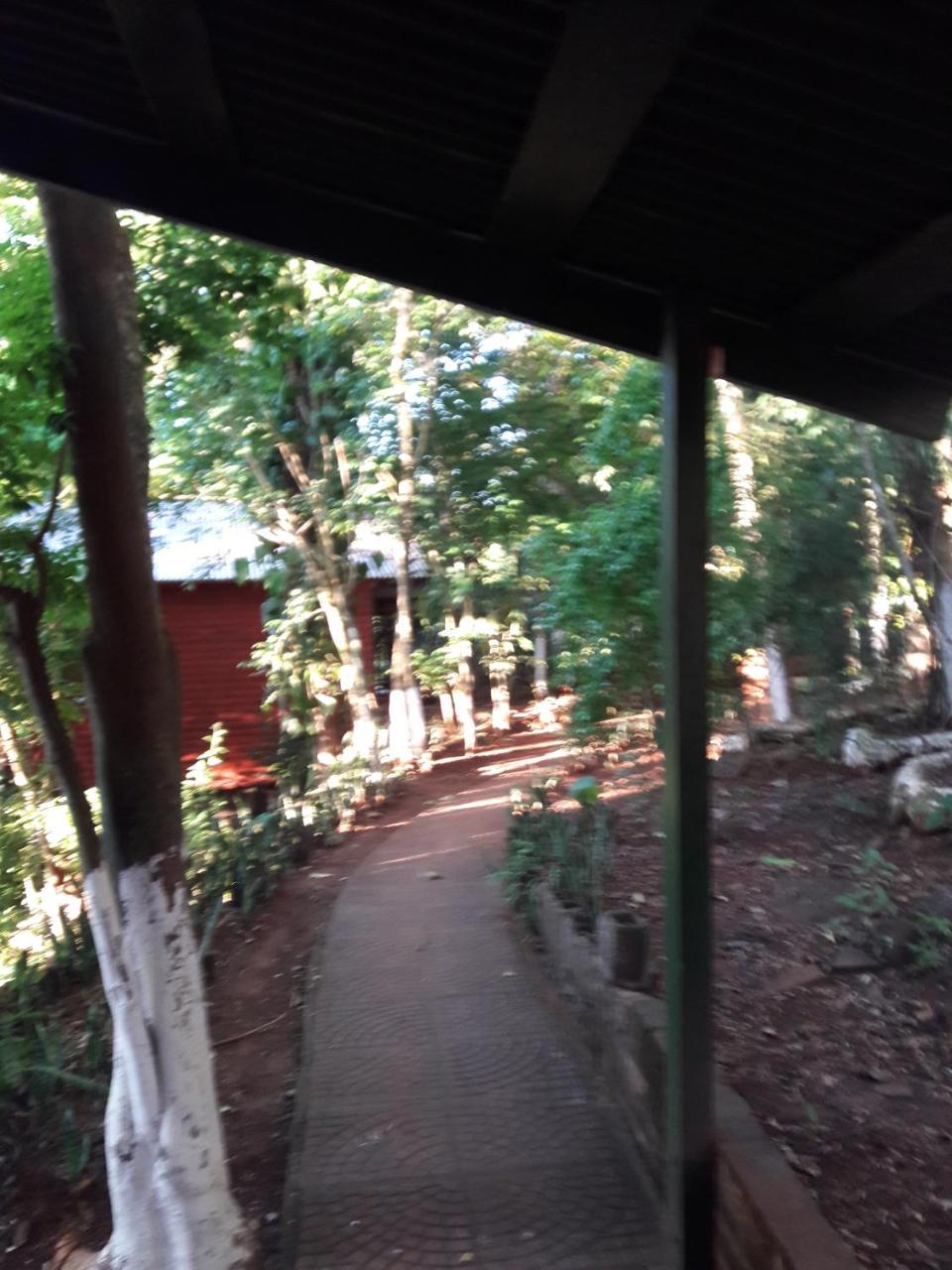 Panambi Lodge B&B Πουέρτο Ιγκουασού Εξωτερικό φωτογραφία